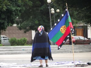 mapuche_bandera